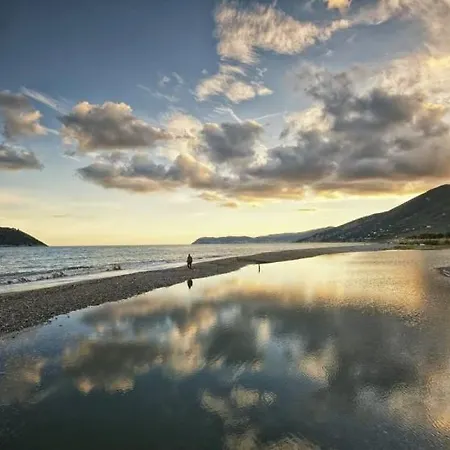 Paradise ألبينغا